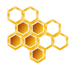 honeycomb, honey isolated on a white background