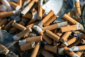 tobaco, nacka,sverige, sweden, stockholm