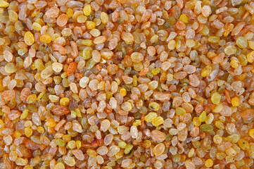 Sweet golden raisins laid out in a thick layer