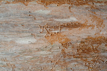 Old grunge dark textured wooden background.