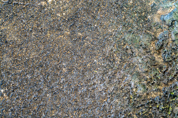 Vintage background, Dirt wall background texture of rough cement wall with moss stain.