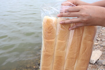 Fototapeta na wymiar woman's hand was unpacking the bread bag to feed the fish in the river With many pets