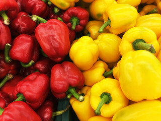 Picture of colorful yellow & green sweet pepper In the market