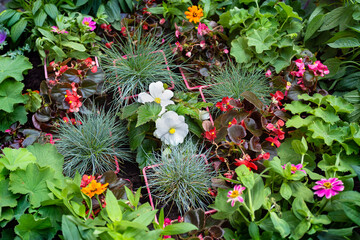 Greenhouse of indoor plants and flowers. Large assortment of potted plants, flower beds.