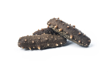 Sea cucumber is isolated on white background.