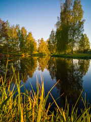 Beautiful Tree Reflection in Lake on Sunny Day - Autumn Colors