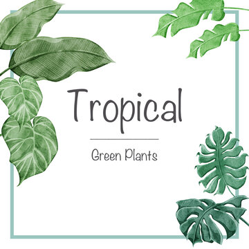 熱帯植物トロピカルフレームデコレーション