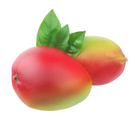 Mango fruits isolated on the white background