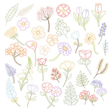 Cute pastel color line flower, floral, leaves doodles with soft background  