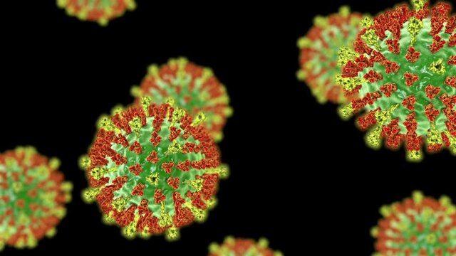 Measles virus. 3D animation showing measles viruses with surface glycoprotein spikes heamagglutinin-neuraminidase (orange) and fusion protein (green) on black background