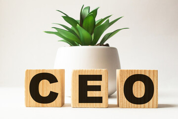 a word CEO on wooden cubes. business concept. business and Finance