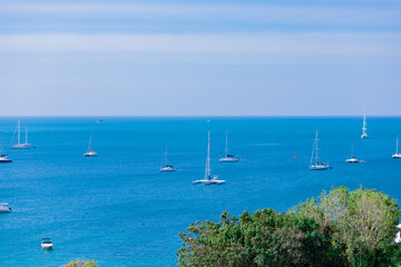 Fototapeta na wymiar Blue sea fill with many Yachts with foreground of tree.