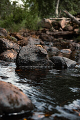Fototapeta na wymiar stones in the river