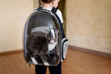 Cat in childrens breathable pets carrier backpack in room