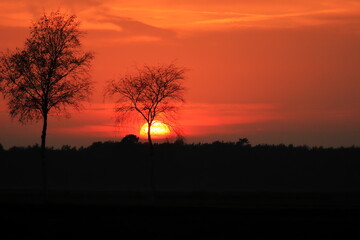 Fototapeta na wymiar roter Sonnenuntergang im Moor