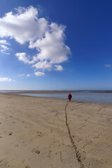 Obraz premium Shellfish Fishing in Normandy coast. Hauteville-sur-Mer village