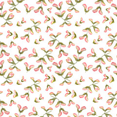 Seeds maple. Seamless pattern . Watercolor/