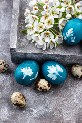 Easter blue eggs painted of natural dye