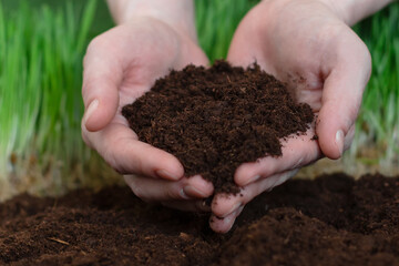 The earth in the hands of women on the background of grass. Earth Day. Planet earth.