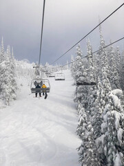Fototapeta na wymiar Big White | Snow Forest 5