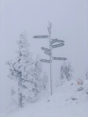 Snow Signpost Whiteout