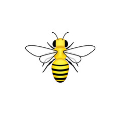 Bee illustration, vector illustration
