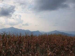 Obraz premium clouds over the mountains