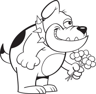 Black and white illustration of a smiling bulldog holding flowers.
