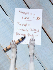 cute chihuahua paws writing a grocery list