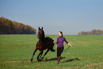 Young woman running with horse on green field on sunny summer day, copy space. Girl training bay stallion outdoors