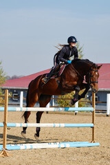 Young horsewoman on brown horse overcomes an obstacle outdoors, copy space. Equestrian sport, jumping.