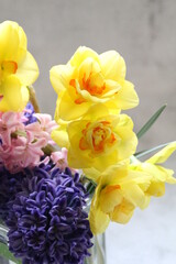  purple and pink hyacinths and yellow daffodils, cut flowers in a vase, colorful cut flowers

