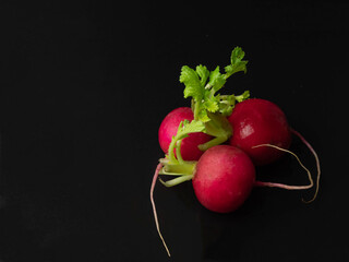 Red radish and leaves on black background