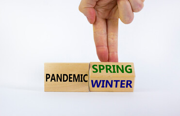 Pandemic Spring and Winter symbol. Businessman turns wooden cubes and changes words 'Pandemic Winter' to 'Pandemic Spring'. Beautiful white background, copy space. Pandemic covid-19 Spring concept.