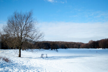 Winter panorama. View of the frozen lake on a sunny winter day.