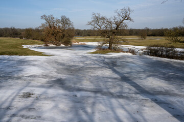 Elbaue Landschaft im Winter