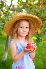 Portrait of children in an apple orchard. Little girl in straw hat and blue striped dress, holding apples in her hands. Carefree childhood, happy child