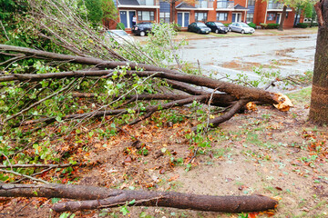 Hurricane flood and wind damage
