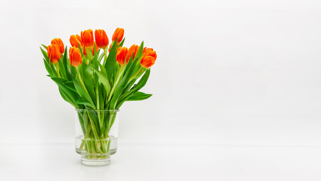 Blumenstrauss aus roten Tulpen auf weissem Hintergrund