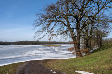 Elbaue Landschaft im Winter