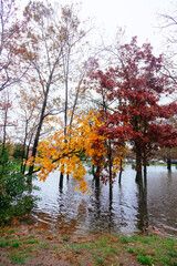 Hurricane flood and wind damage