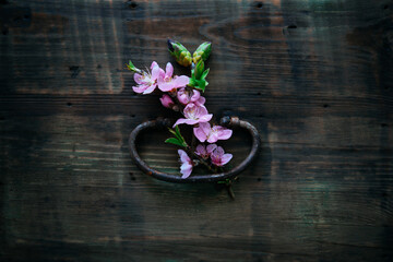 Old wooden doors with knocker and spring flowers. Old classic door handle from medieval times in Europe.