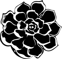 Decorative Flower. Abstract Flower. Hand-drawn Flower for your design. for textile printing