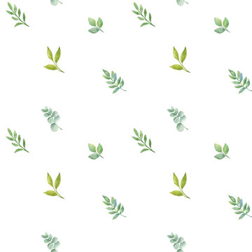 seamless watercolor pattern with herbs