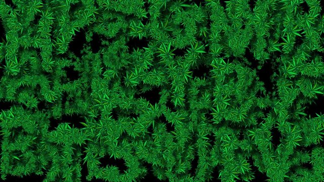 Wall from Cannabis Alphabet 1