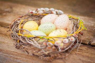 Naklejka na ściany i meble Easter colorful eggs lie in a beautiful nest of blossoming willow branches close-up