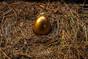 Golden eggs and white eggs in a bird's nest, seen from above