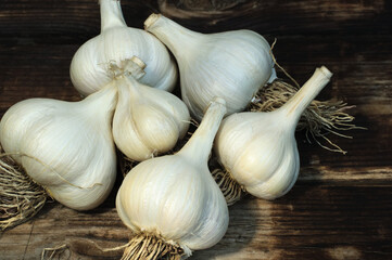 Farmer's garlic on a wooden table close-up.