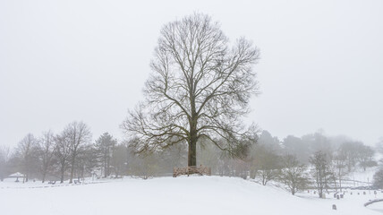 Winternebel