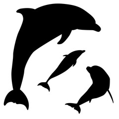 Delfin Silhouetten © Nico Ladewig